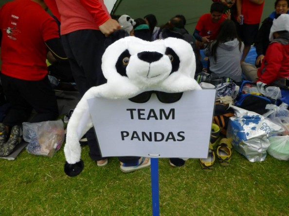 team Pandas